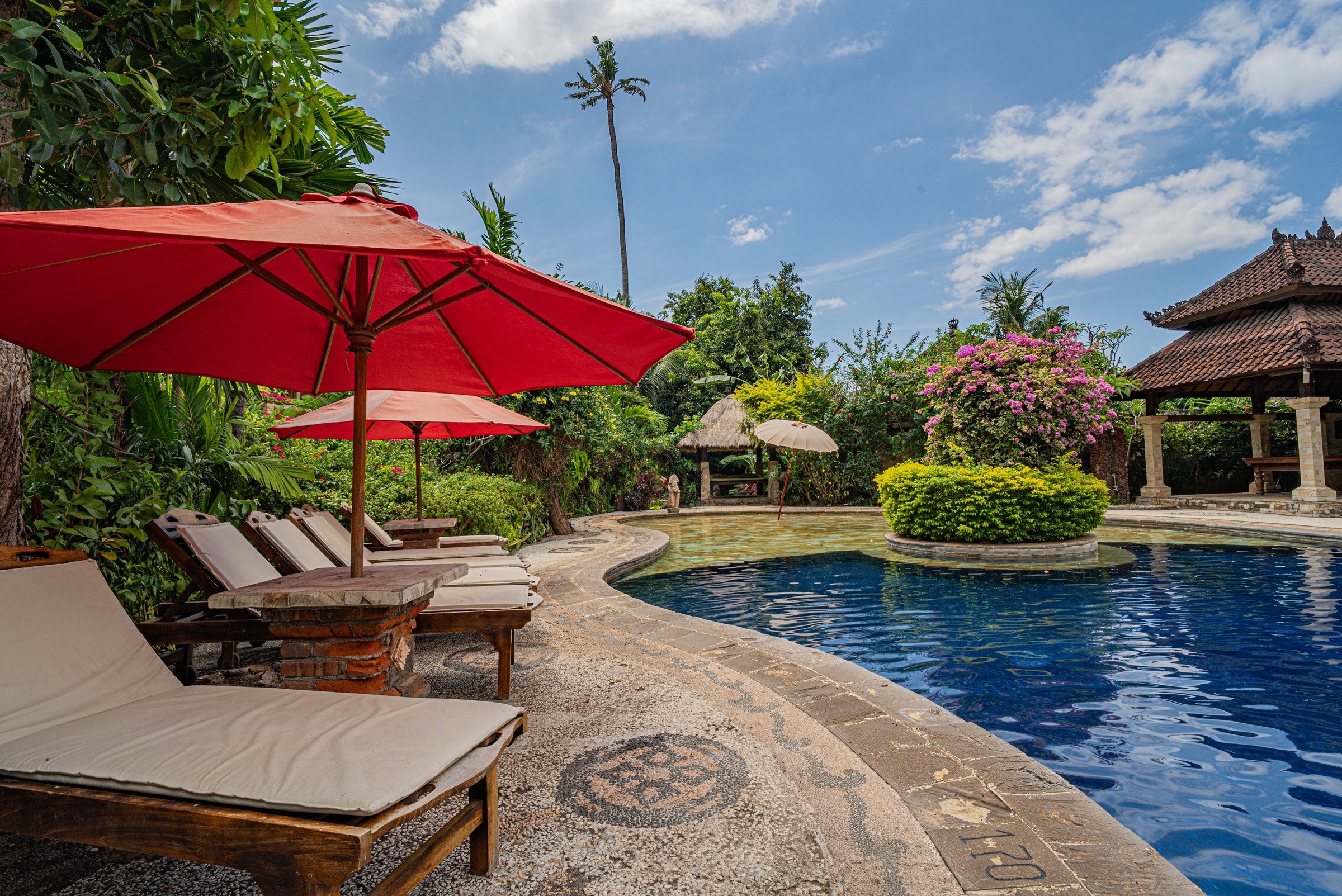 Rambutan tropical garden with palm trees