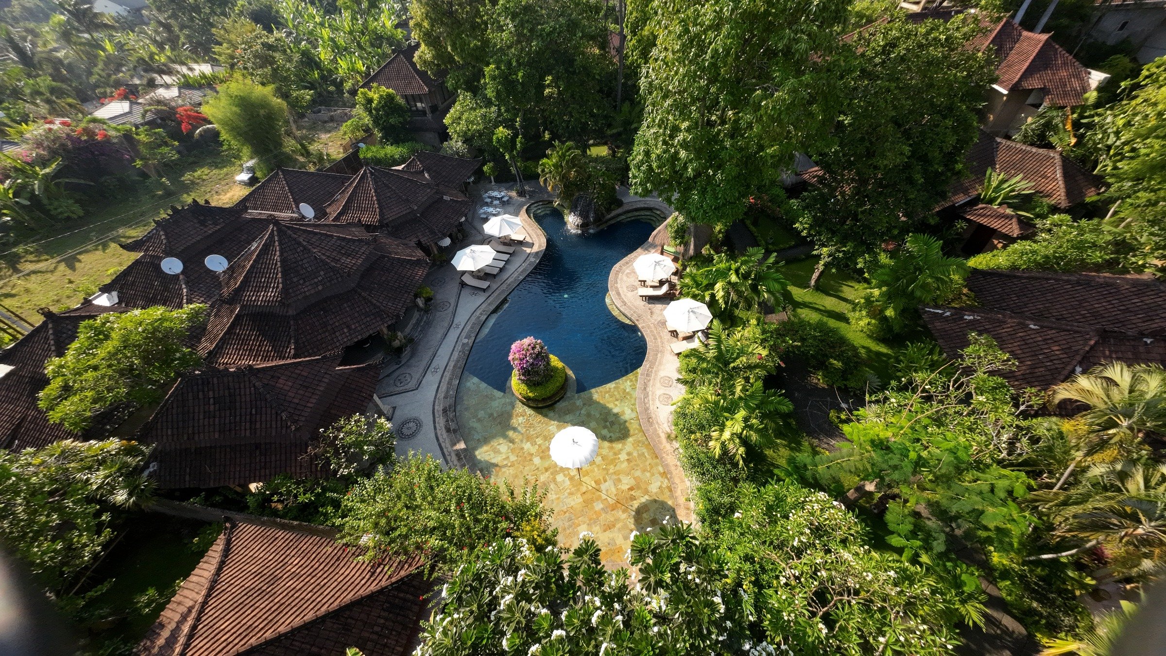 Garden Pool Villa private plunge pool at dawn